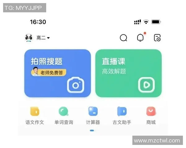 提升排球表现的护腕选购指南及推荐品牌解析