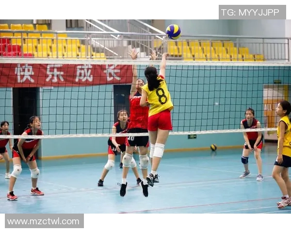 排球装备选购指南护具推荐助你安全畅享比赛乐趣