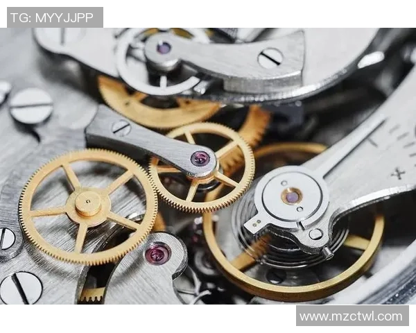 实时新闻上海乒乓球队快攻革新之路技术突破与战术演变的深度剖析