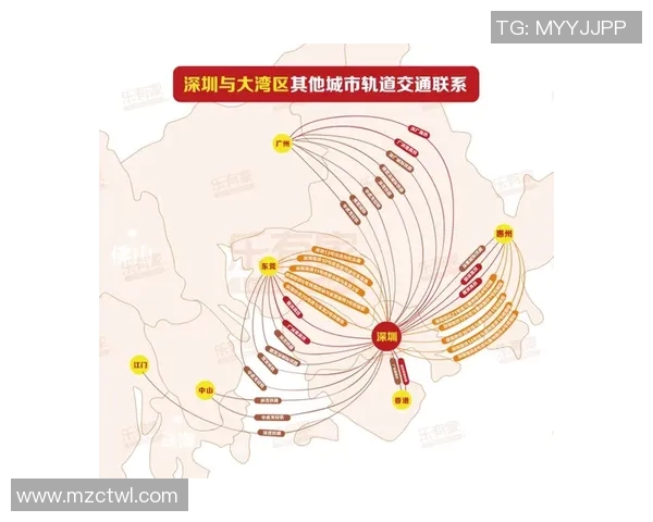 实时新闻深圳乒乓球队技术特点深度解析与其他城市队伍的全面对比 实时新闻深圳乒乓球队技术特点深度解析与其他城市队伍的全面对比